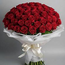 Букет 101 Красная роза Блэк Мэджик в Дубровки