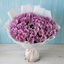 Букет цветов из:  Хризантемы в Дубровки