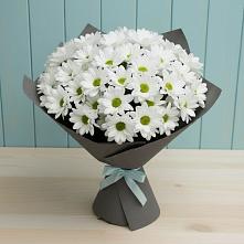 Букет цветов из:  Хризантемы в Дубровки