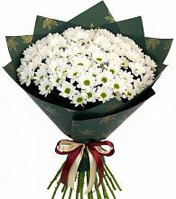 Букет цветов из:  Хризантемы в Дубровки