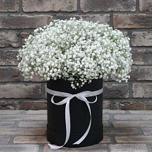 Цветочная композиция из Гипсофила в шляпной коробке в Дубровки