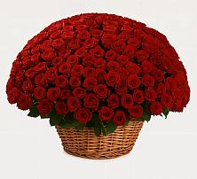 Премиум букет из: Розы #REPLACE_PRED# Дубровки